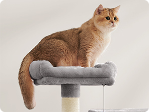 Cat tree or perch featuring a circular gray platform. A light-colored cat with long fur is sitting on the platform, looking to the side.