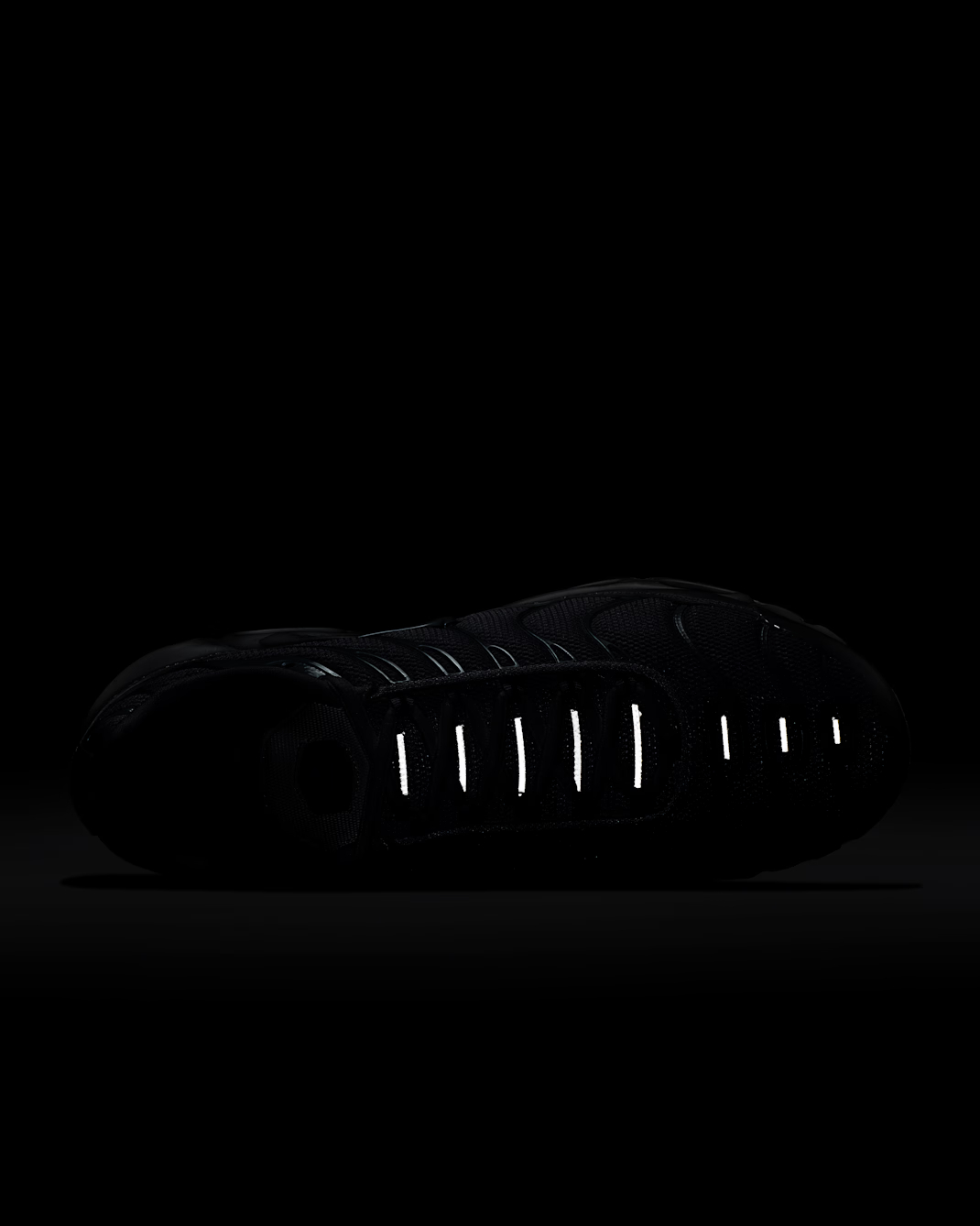 Nittgke Air Max Plus Men's Shoes