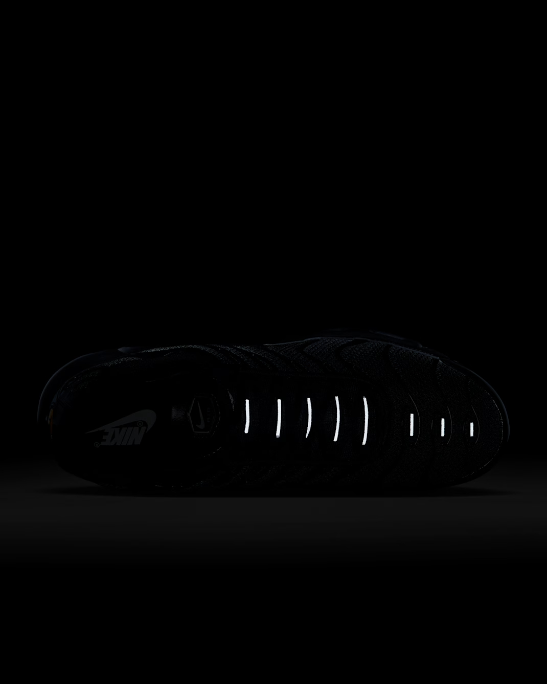 Nittgke Air Max Plus Men's Shoes