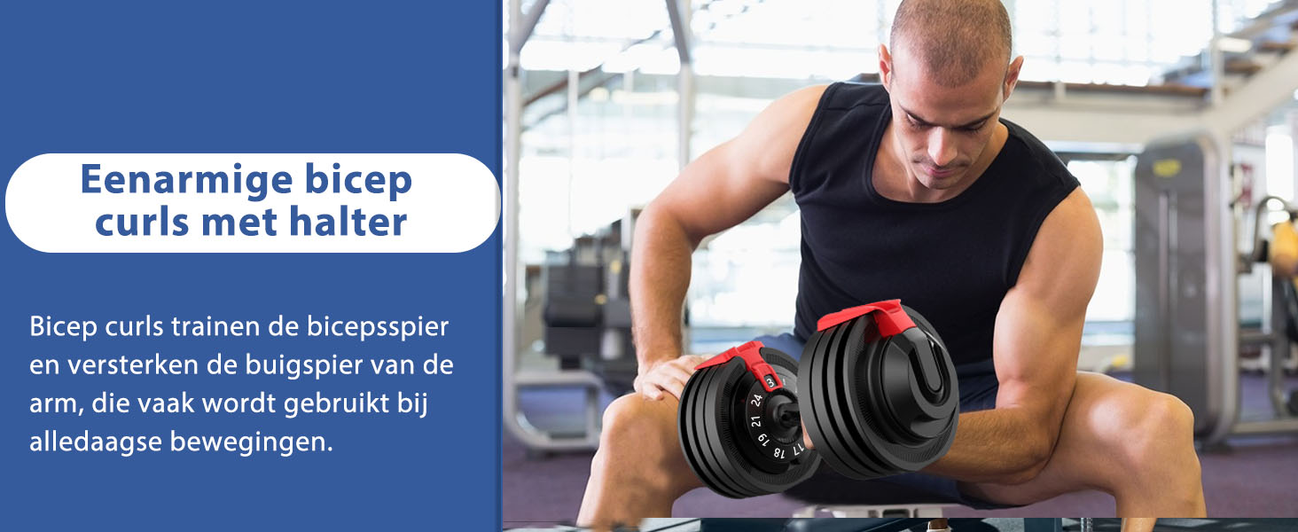 Man die biceps curls uitvoert met een halter terwijl hij op een bankje zit in een sportschoolomgeving. Tekst in het Nederlands beschrijft de oefening.