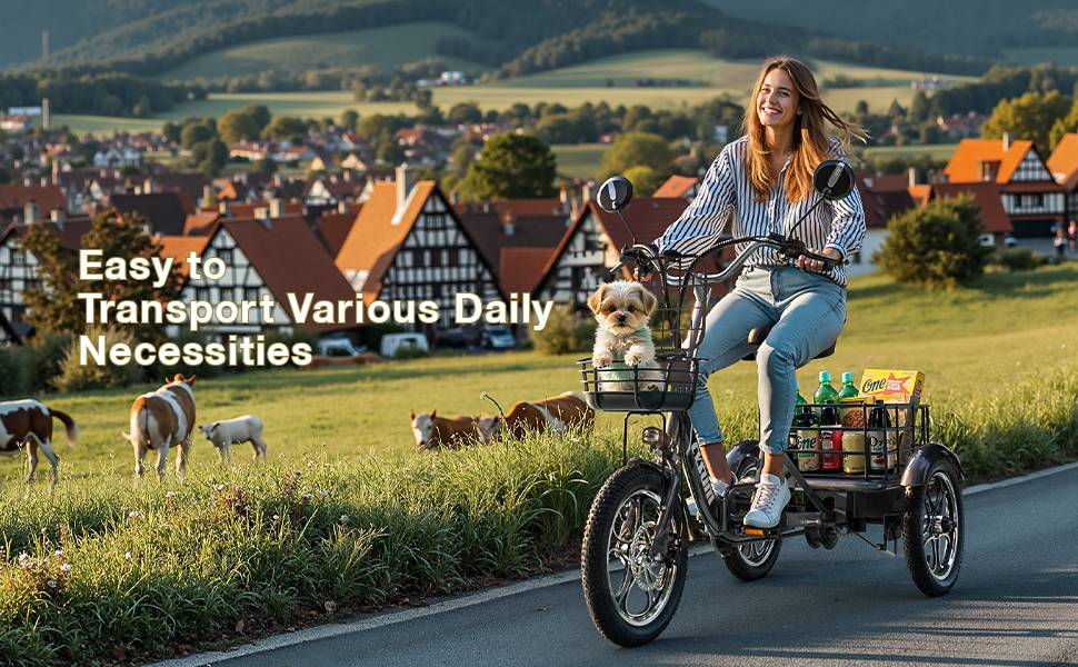 Driewielige elektrische fiets met grote achtermand voor boodschappen en een hond. Ruiter fietst op een landelijke weg met dorp en heuvels op de achtergrond.