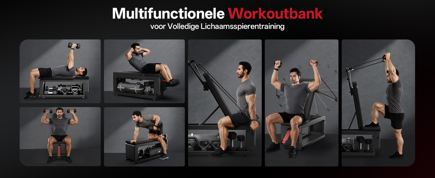 De tekst luidt 'Multifonctionelle Workoutbank'. Serie demonstratiebeelden waarop verschillende trainingsposities en bewegingen te zien zijn met behulp van een trainingsbank.