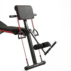 the [ unused0 ] - - the ultimate gym bench