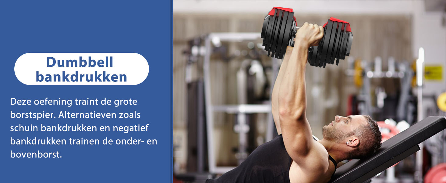 Persoon die een halterbankdrukoefening uitvoert op een halterbank. Handen die zwarte halters vastgrijpen, armen naar boven gestrekt. Tekstlabel 'Dumbbell bankdrukken'