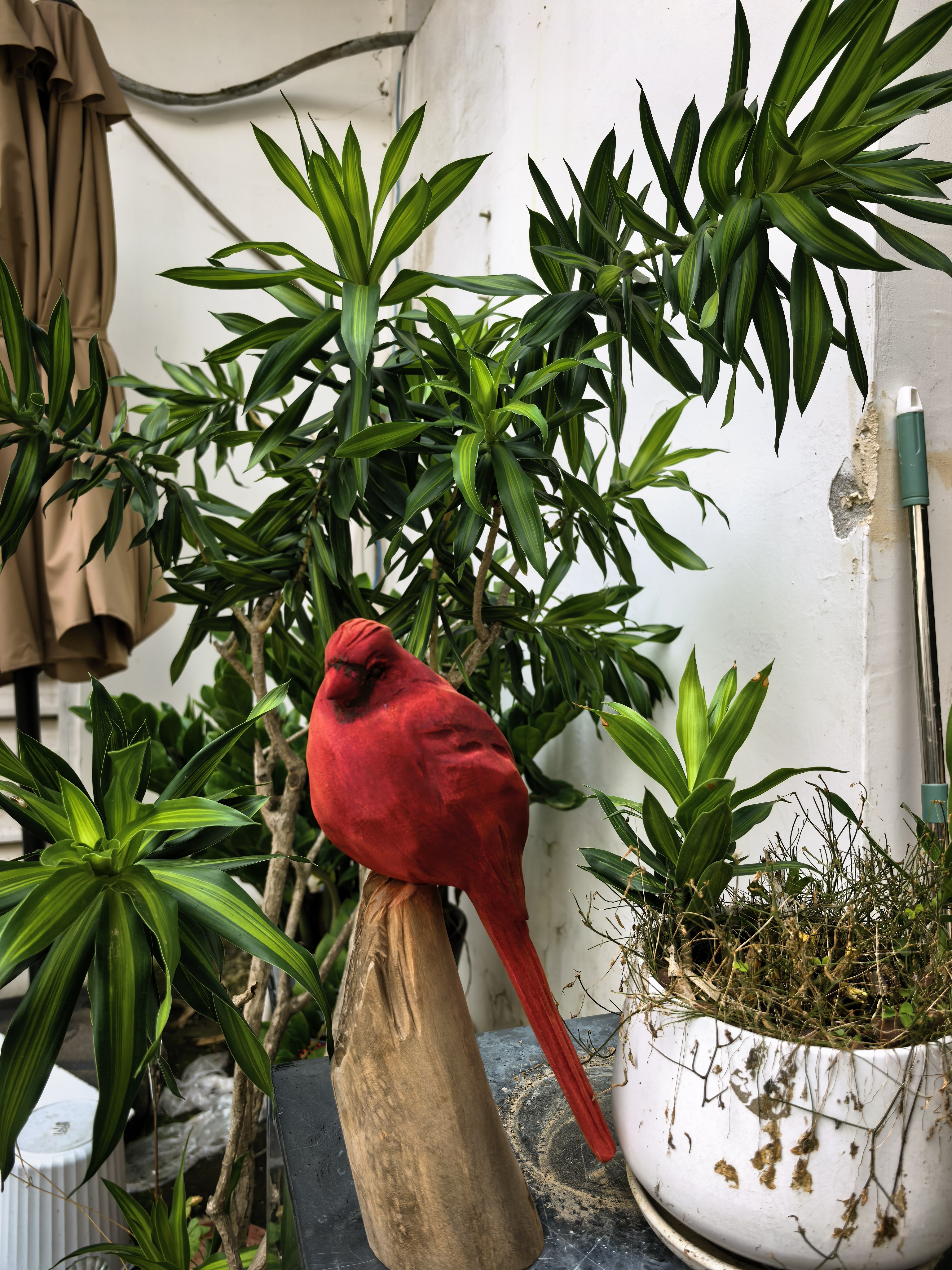 FREE SHIPPING | Red Cardinal Bird Sculpture | Handcrafted Wooden Bird Figurine | Minimalist Nature Home Decor | Garden Table Accent Ornament
