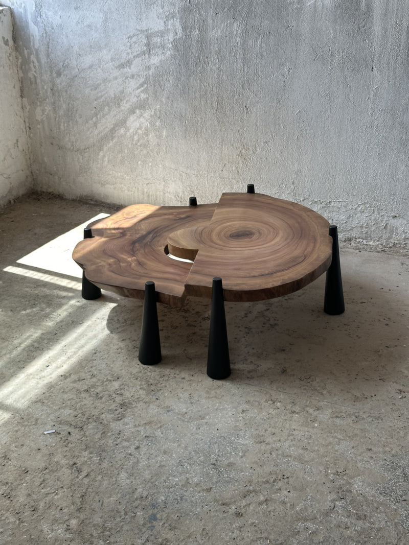 Sculpture Wooden Coffee Table Living Room Furniture