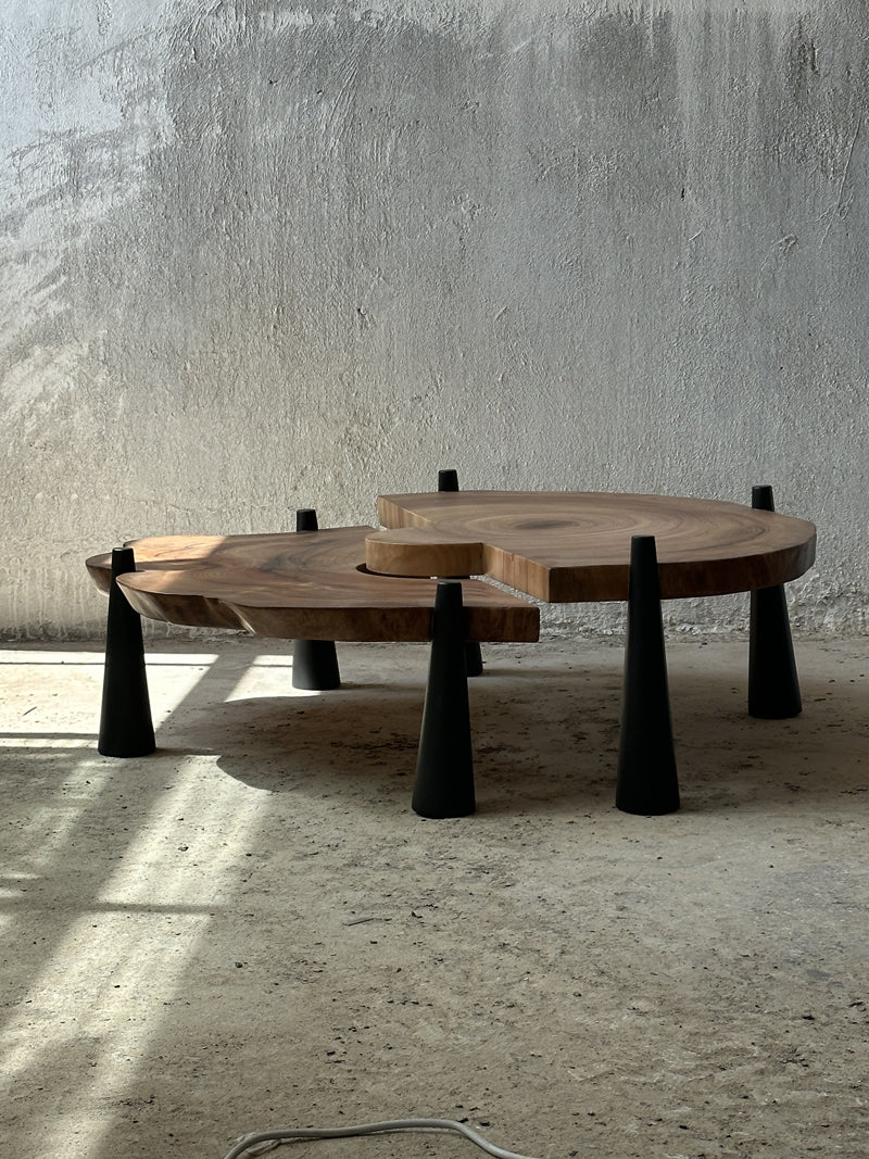 Sculpture Wooden Coffee Table Living Room Furniture