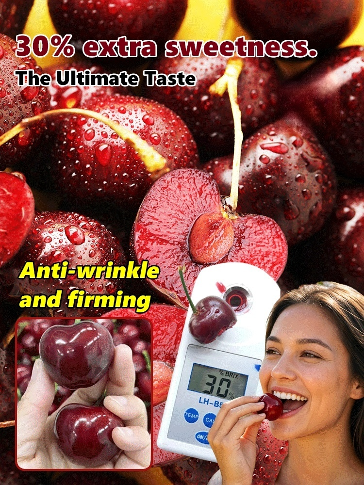 🍒 Extra Large Goma Hali Cherry Tree Saplings | Self-pollinating, Bears Fruit in the Same Year, Sweetness Up to 30% 🌳