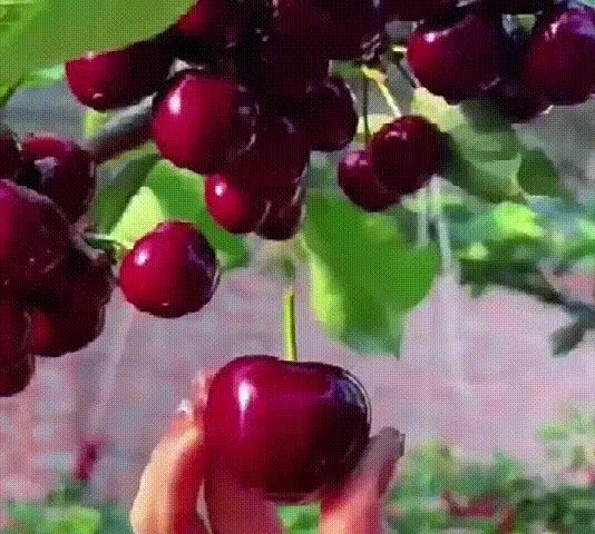 未标题-1_07.gif