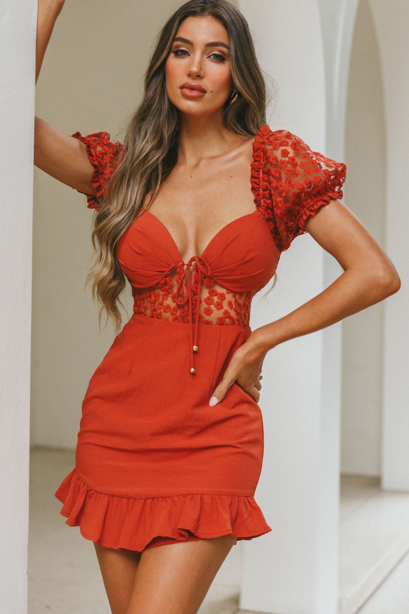 Field Dreams Puff Sleeve Tie-Up Bodice Floral Embroidery Mini Dress Rose-Maymioy