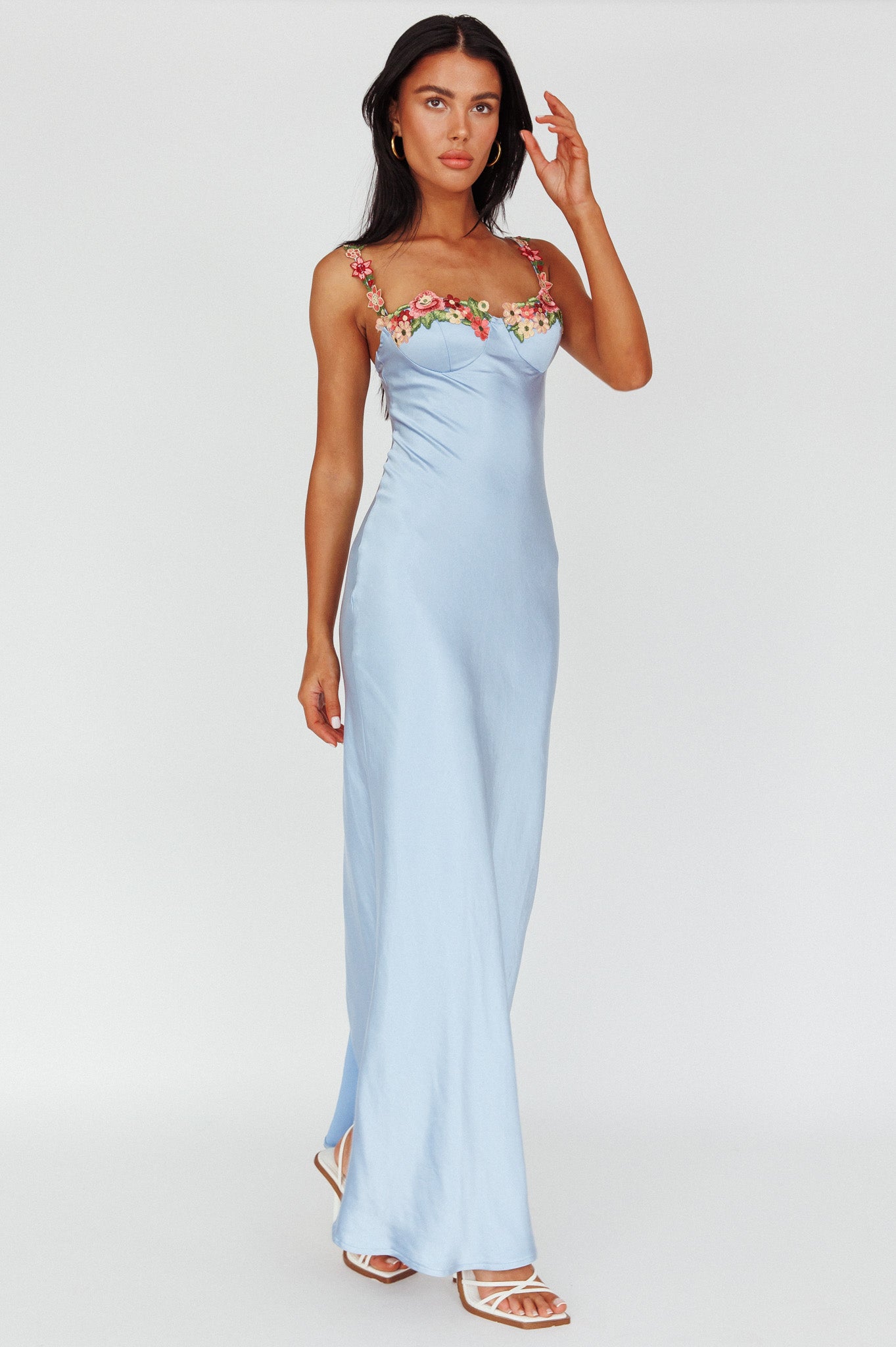 Rose Garden Floral Applique Midi Dress Blue-Maymioy