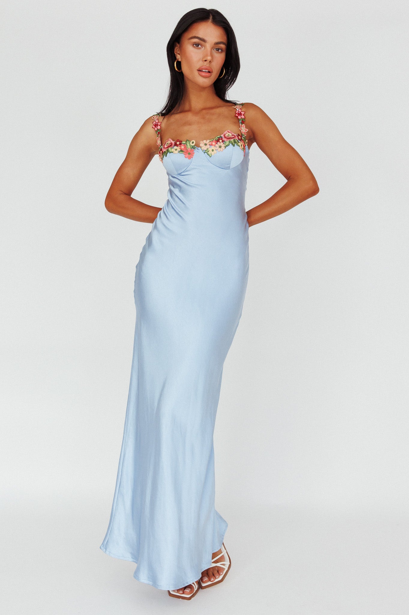 Rose Garden Floral Applique Midi Dress Blue-Maymioy