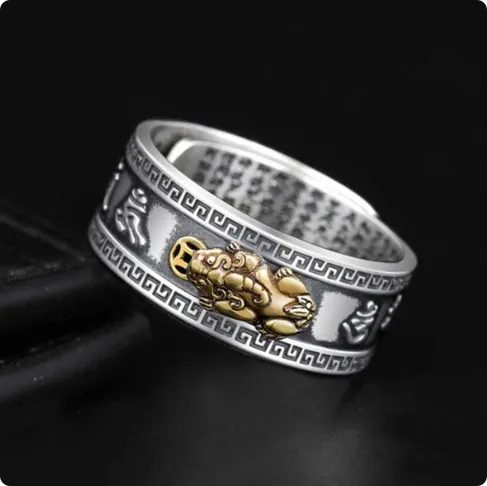 Buddha Stones Lucky FengShui PiXiu Wealth Ring