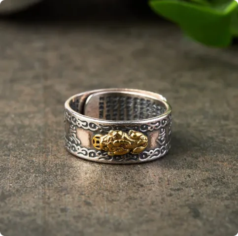 Buddha Stones Lucky FengShui PiXiu Wealth Ring