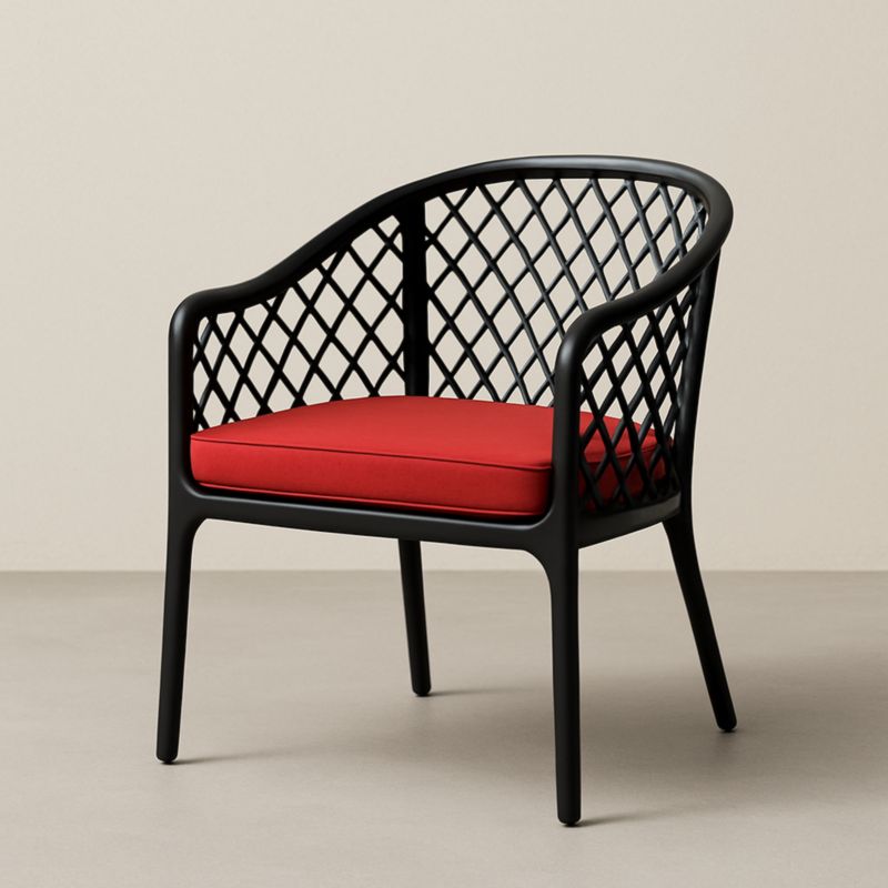 Poltrona con Struttura in Metallo e Cuscino Rosso