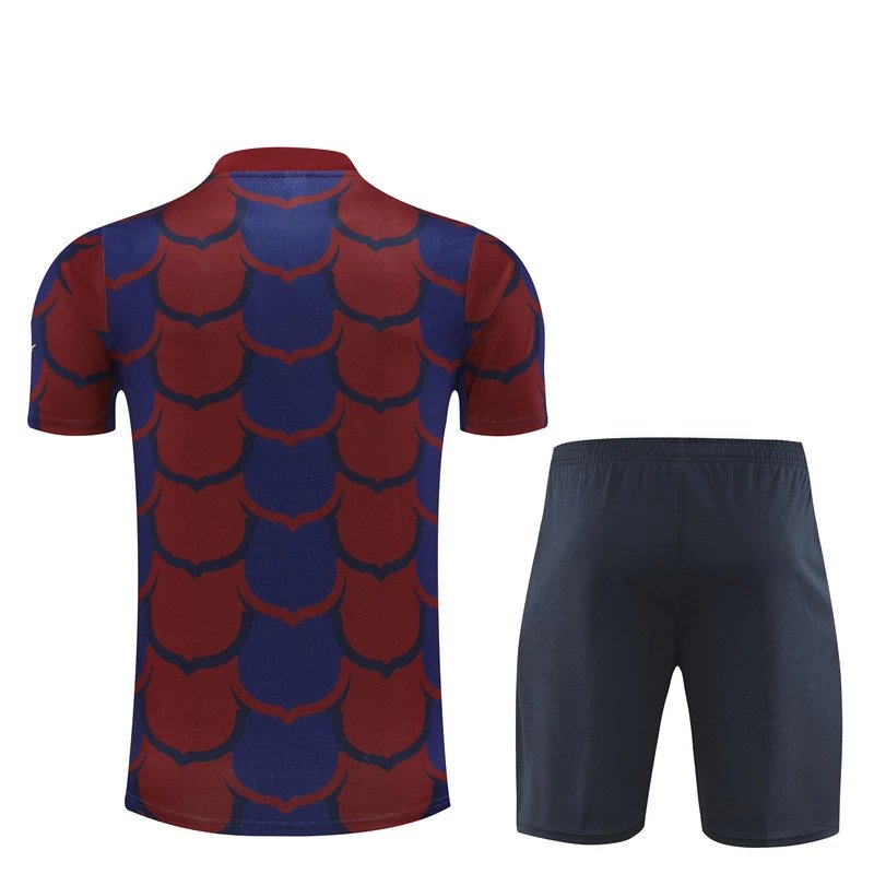High quality jersey short sleeved kit for Barcelona