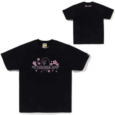 QC Image