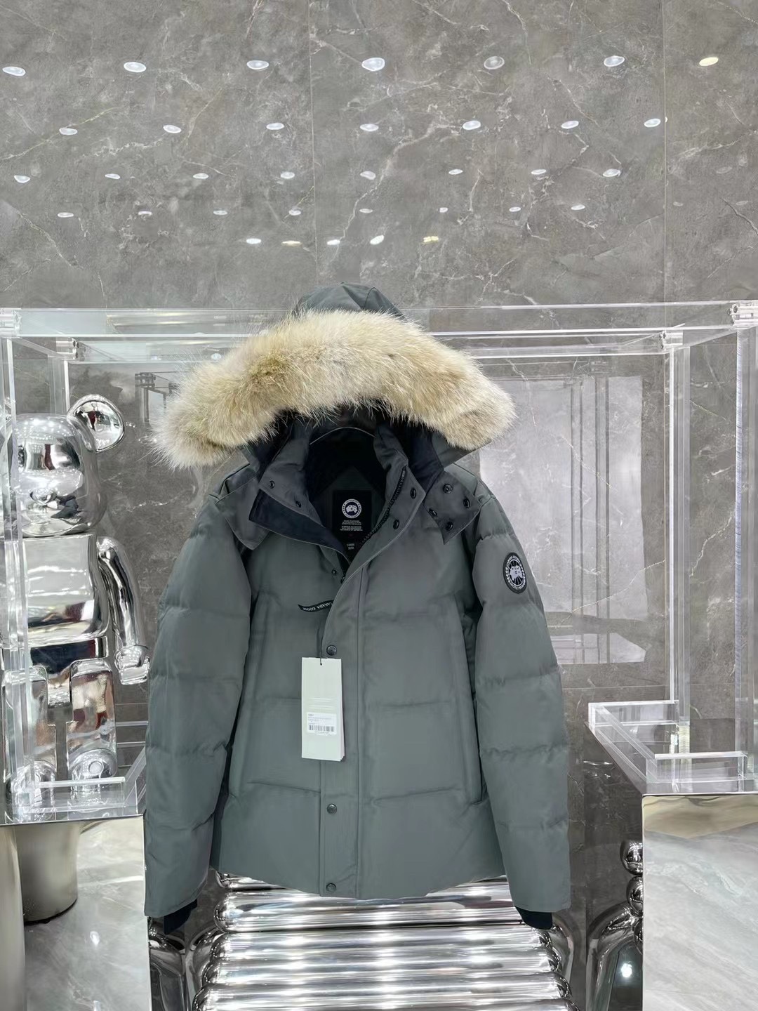 Winter hooded down jacket