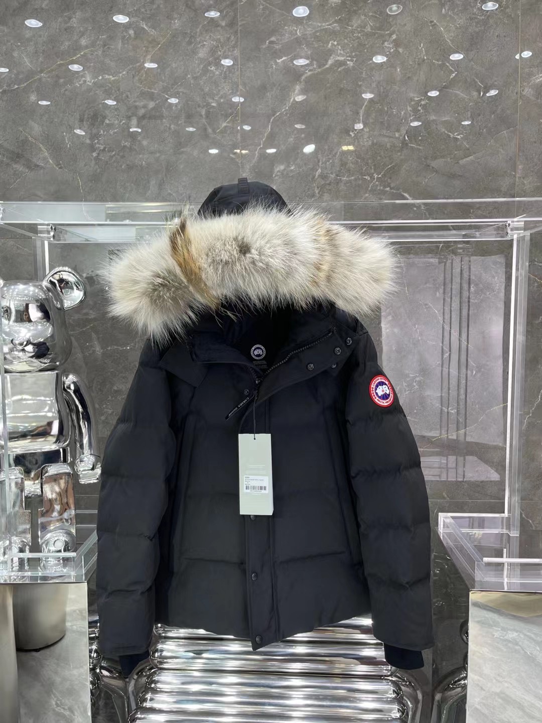 Winter hooded down jacket