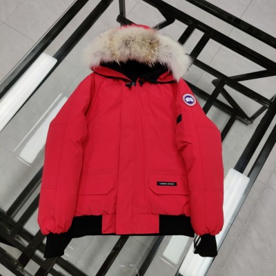 QC Image