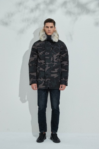 QC Image