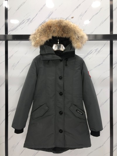 QC Image