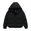 High quality down jacket 008