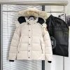 Winter hooded down jacket