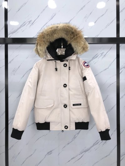 QC Image