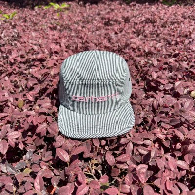 QC Image