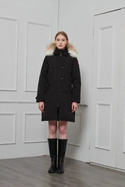QC Image