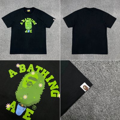 QC Image