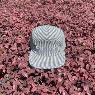 QC Image