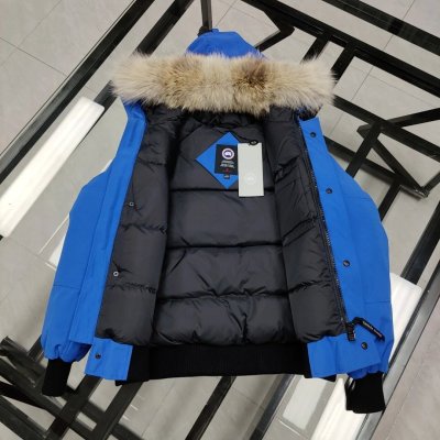 QC Image