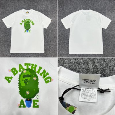 QC Image
