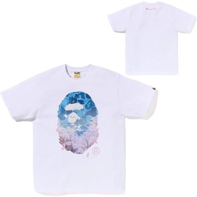 QC Image