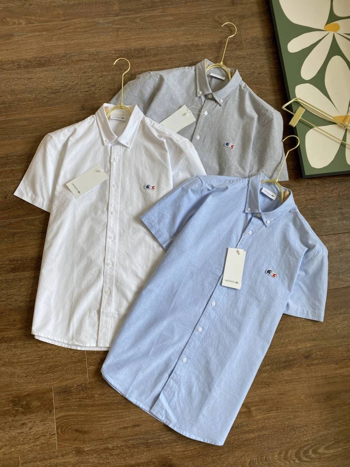 REP High Quality 1-SH-010