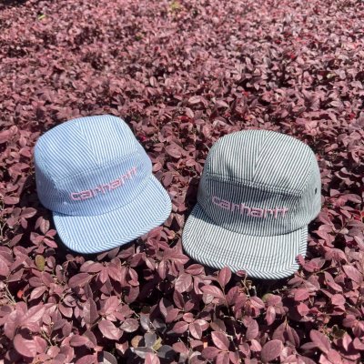 QC Image