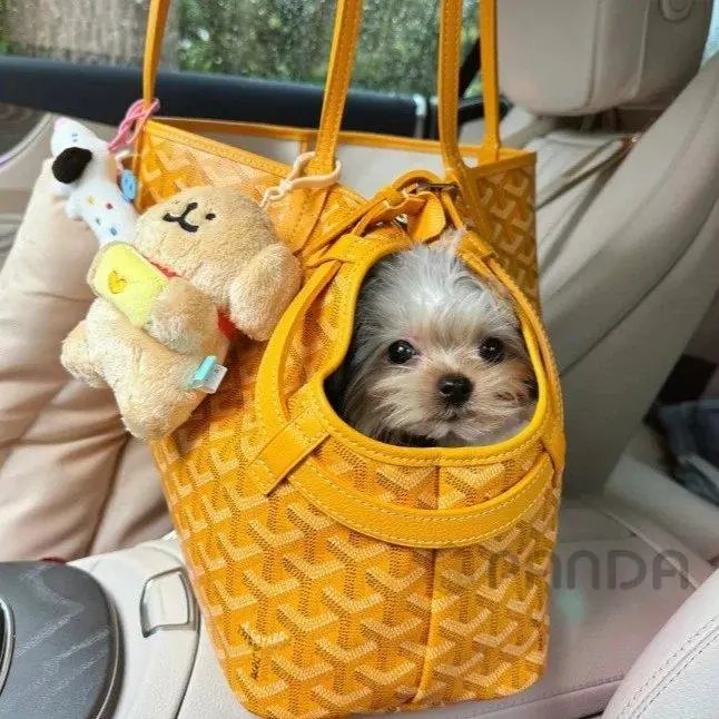 High quality pet bags (multi brand), please add : 18030258501 if you need size guide