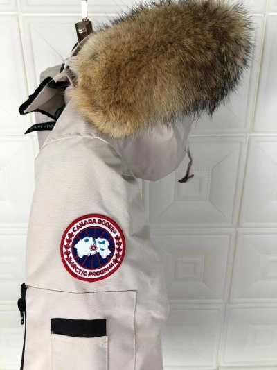 QC Image