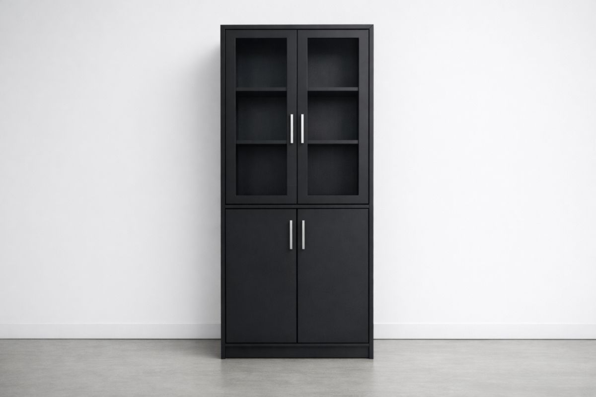 Mobilier de rangement noire avec portes en verre trempé