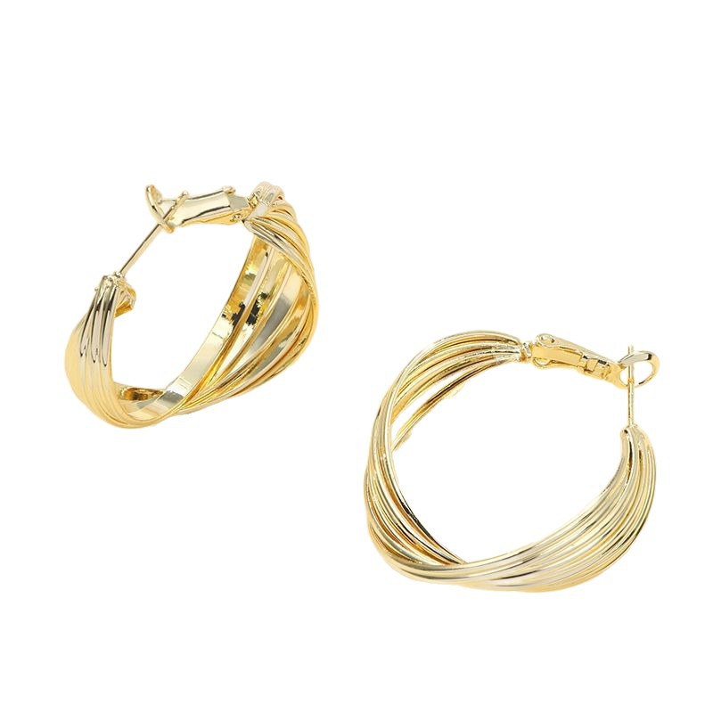 Sculpted Layer Hoop Earrings