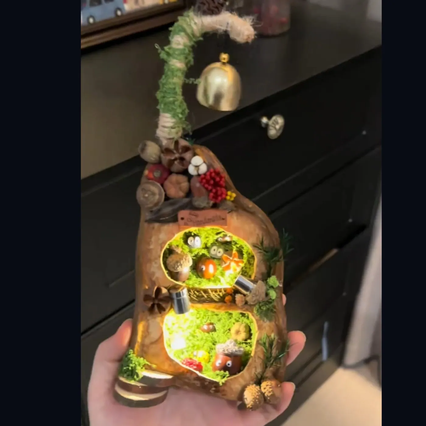 Handcrafted Bean Pod Dioramas