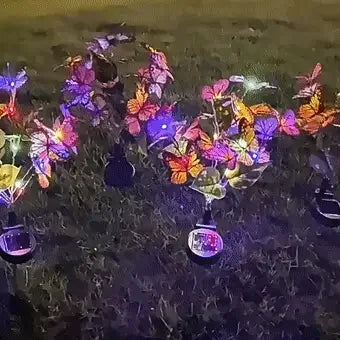🔥2026 New Arrivals: 50% Off for a Limited Time!🔥🦋Hot Sale Offers-Solar Outdoor Butterfly Lights💐 - clarioy