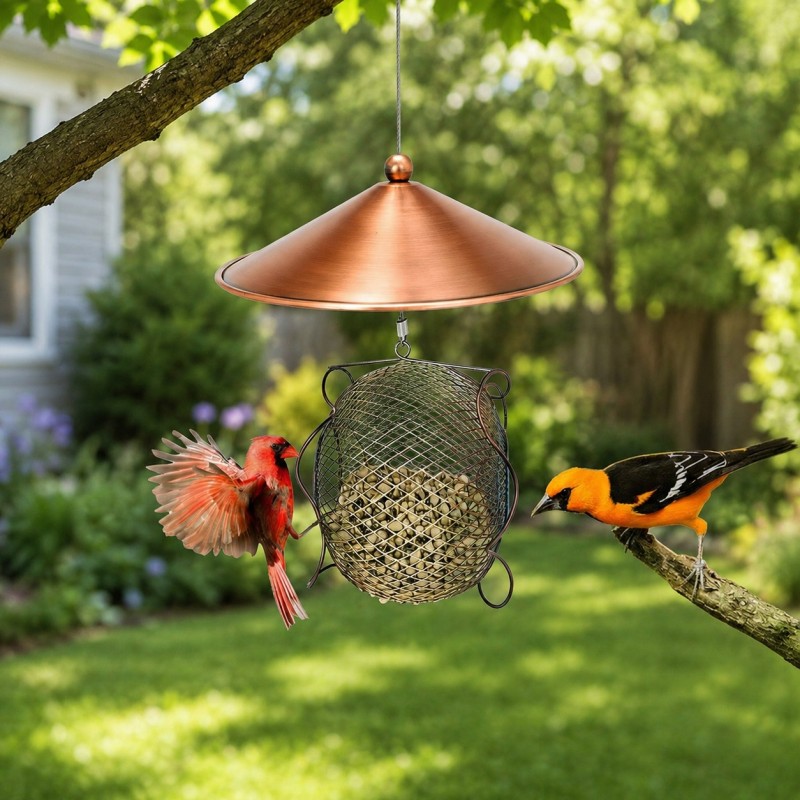 RainGuard Dual-Port Hanging Bird Feeder