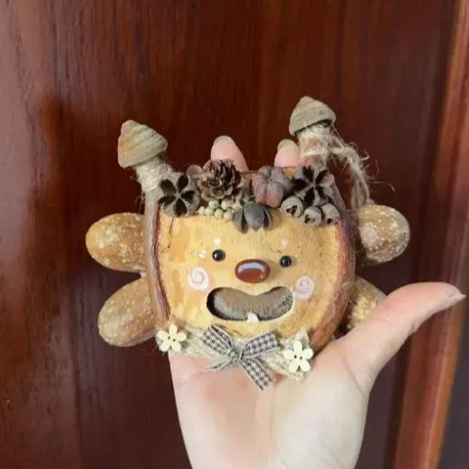 Handmade Entada Bean Pod Ornament