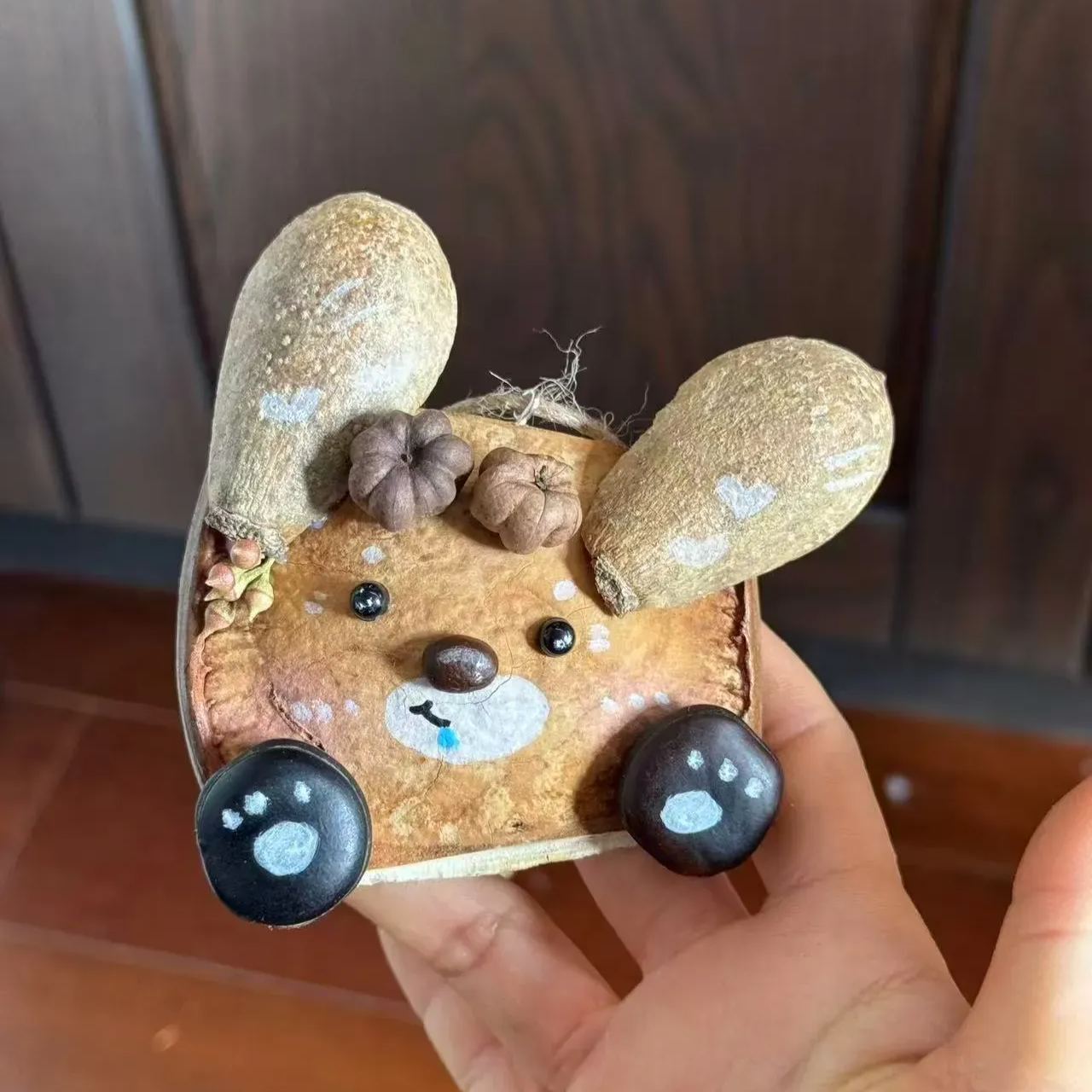 Handmade Entada Bean Pod Ornament