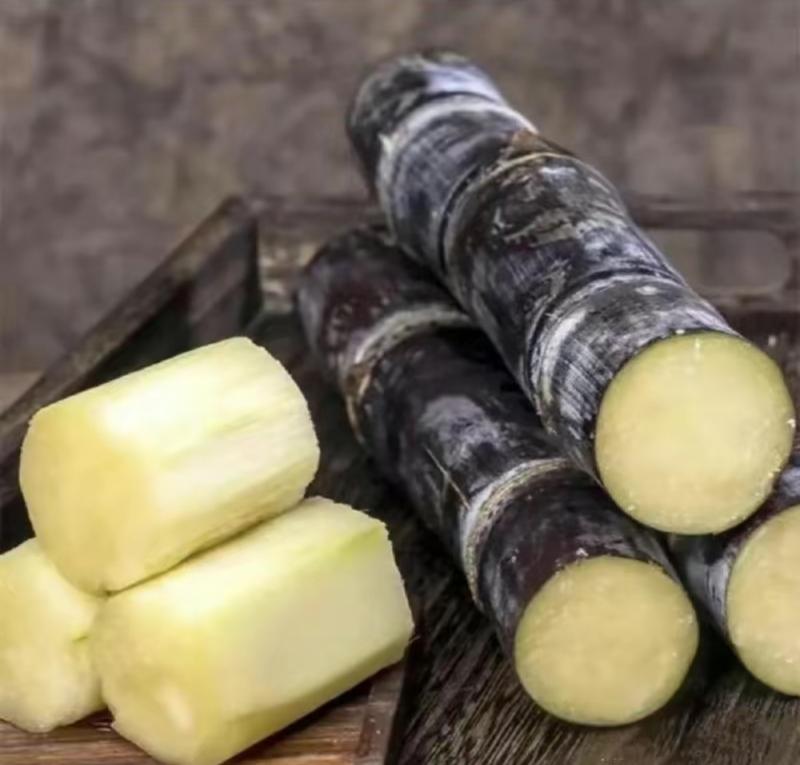 ❤️Sweet Harvest Starter Kit 🍃 Sugarcane Seeds✨Beginner-Friendly