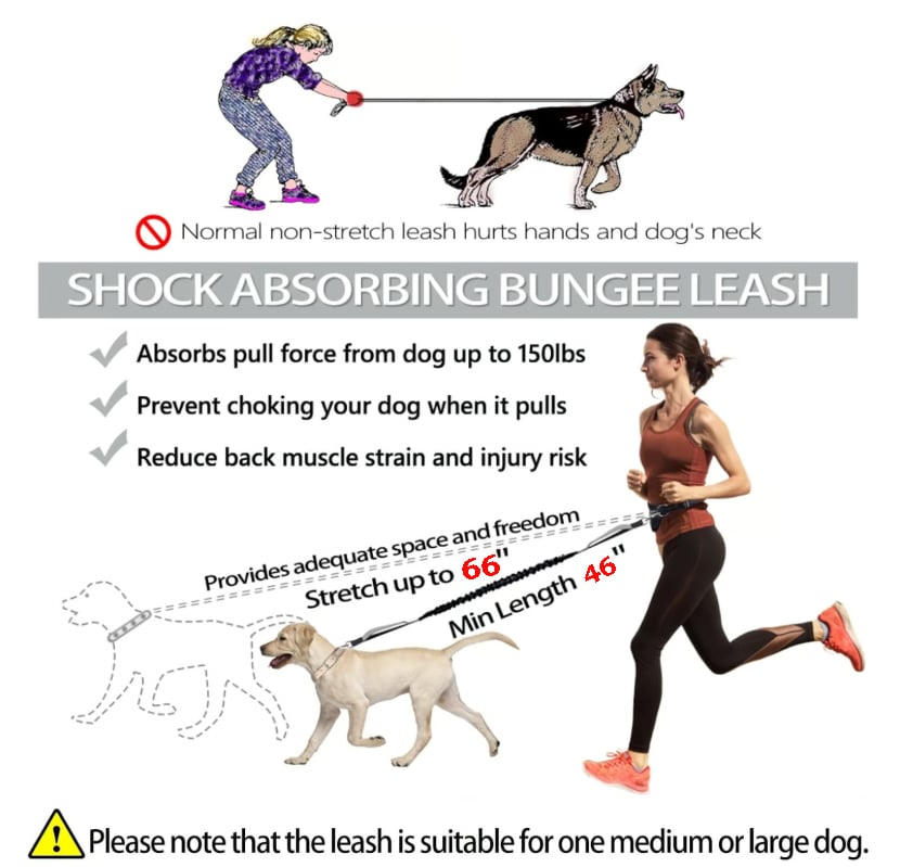 Smart Hands-Free Dog Leash with Shock Absorbing Bungee