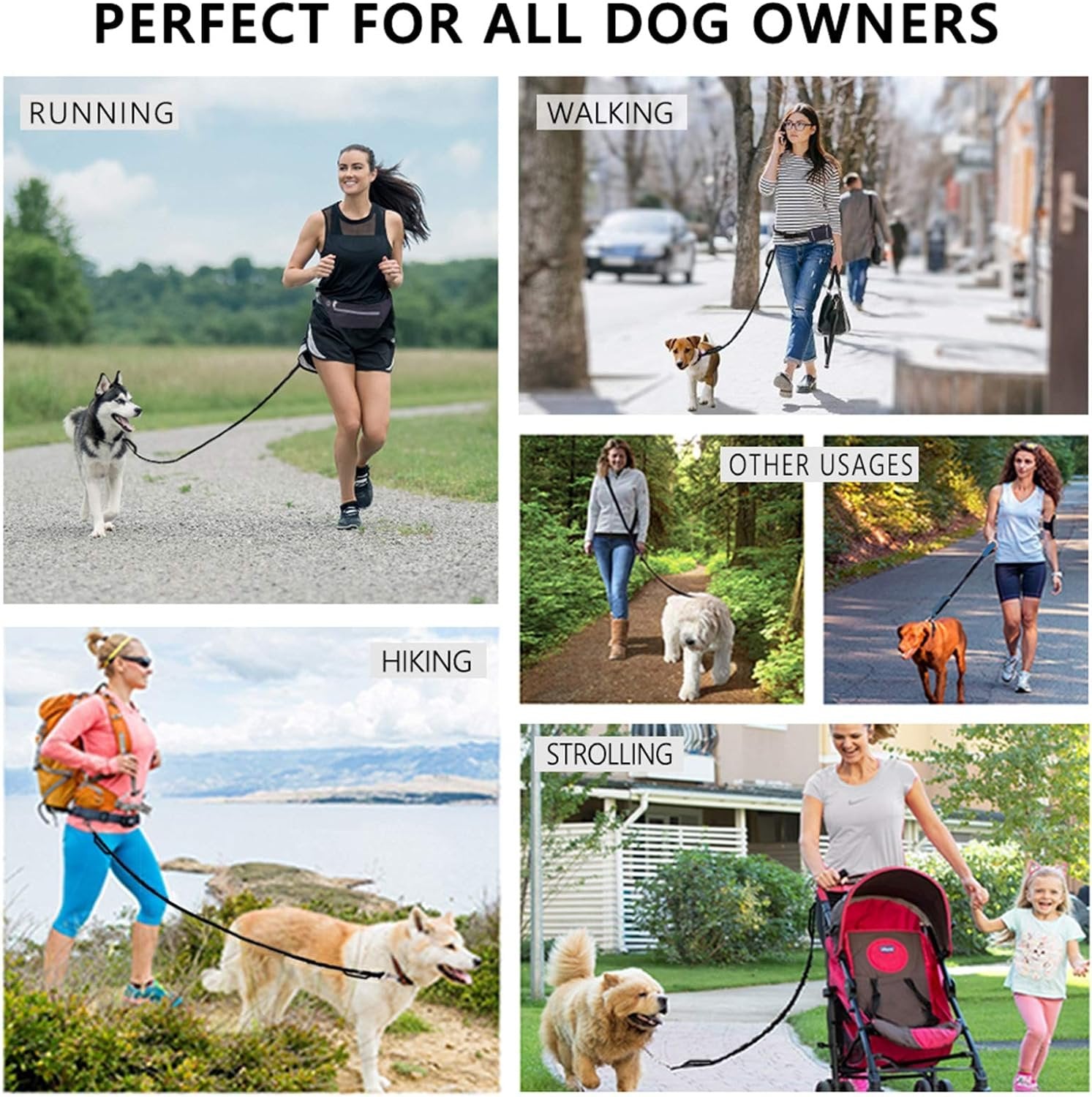 Smart Hands-Free Dog Leash with Shock Absorbing Bungee